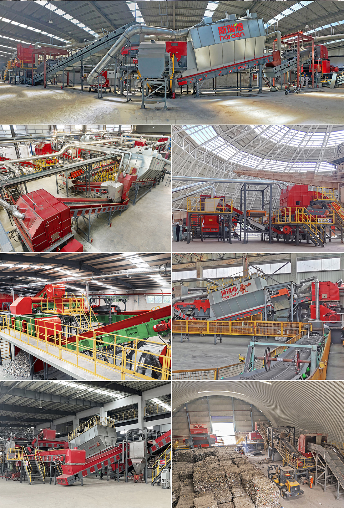 xiaojurensiruide20251104 (5).jpg